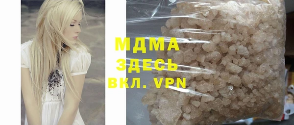 сатива Новозыбков