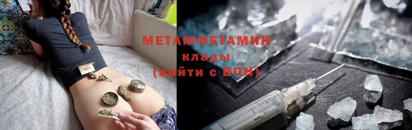 ПСИЛОЦИБИНОВЫЕ ГРИБЫ Няндома