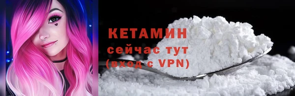 сатива Новозыбков