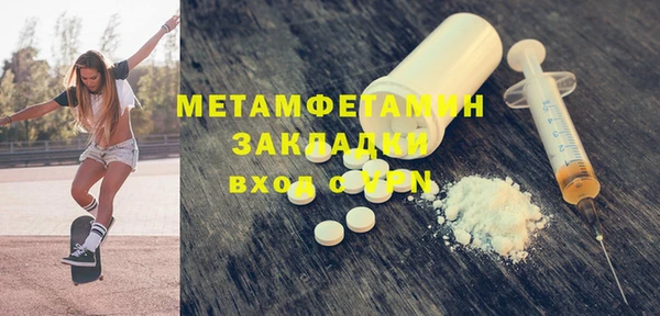 сатива Новозыбков