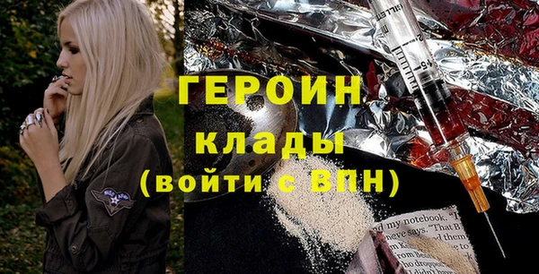 сатива Новозыбков