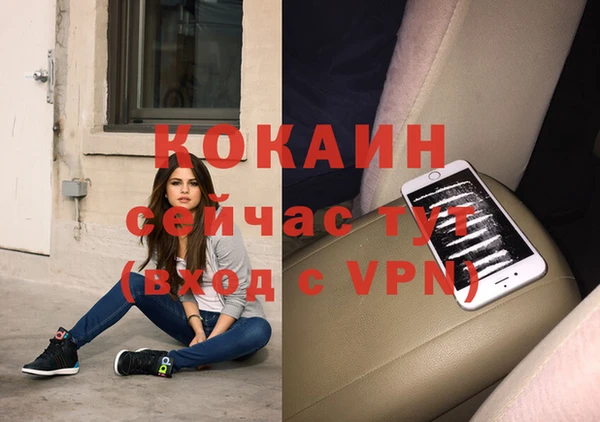 ПСИЛОЦИБИНОВЫЕ ГРИБЫ Няндома