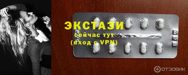 сатива Новозыбков