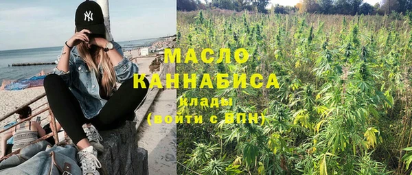 сатива Новозыбков