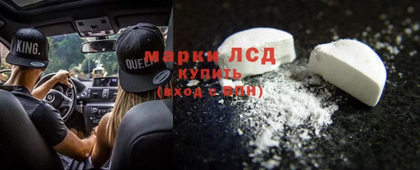 сатива Новозыбков