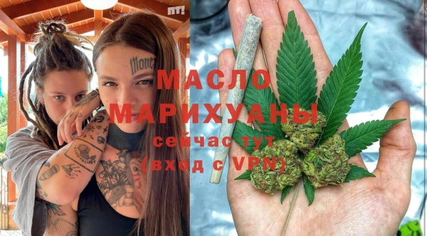 сатива Новозыбков