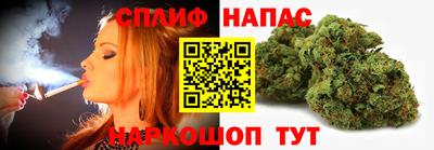 стафф Краснознаменск