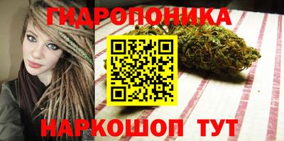 стафф Краснознаменск