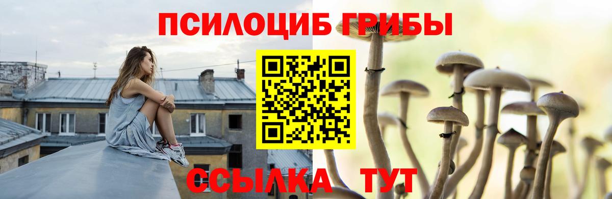 Псилоцибиновые грибы Magic Shrooms Туапсе